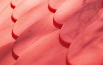 Sharoe Green plastic roof costs