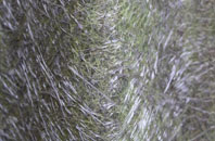 Sharoe Green fibreglass roof work