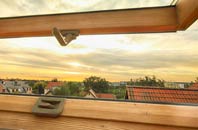 rated Sharoe Green roof window companies